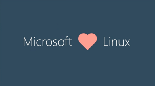 微软向Linux社区开源庞大的专利组合：60000多项专