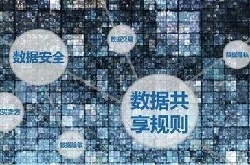 法制 | 为大数据立法 数字时代新课题