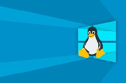Windows将成为Linux最好的发行版？使用其4.19内核