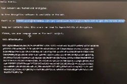 <b>WannaCry 又要来了吗？西班牙两大企业遭勒索攻击</b>