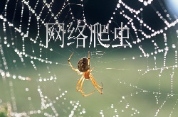 <b>监管发文规范网络“爬虫”：大数据公司需切断</b>